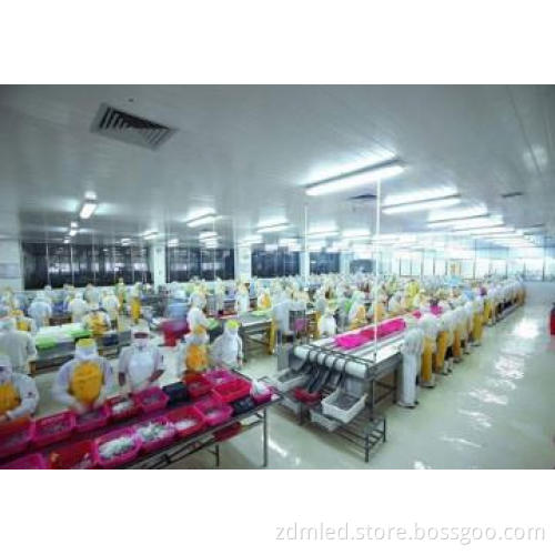 China LED Tube Supplier